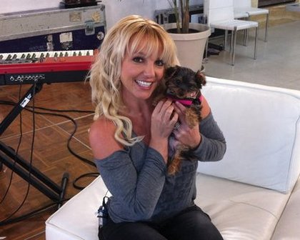 Je veux tous présenter ma nouvelle petite fille: hannah spears: elle est pas trop mignonne ? 