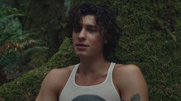 Shawn Mendes - Wonder