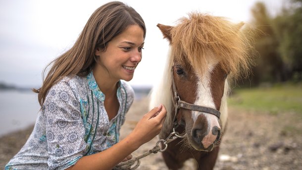 Les infos du Réveil Chérie : aux États-Unis, certains hôpitaux font appel à des chevaux… musiciens !