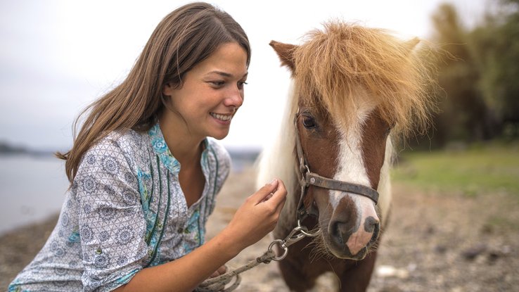 Les infos du Réveil Chérie : aux États-Unis, certains hôpitaux font appel à des chevaux… musiciens !