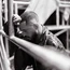 SLIMANE