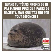 Qui se reconnaît ?