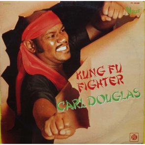 Kung Fu Fighter