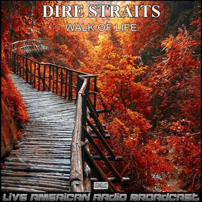 Walk Of Life (Live)