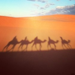 Usher dans le desert