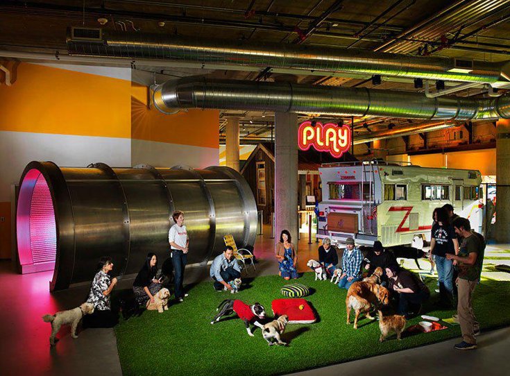 Playground chez Zynga
