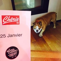 25 mars 2016 - Le Réveil Chérie de Vincent Cerutti