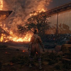 Sekiro : Shadows Die Twice