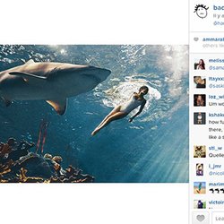 Rihanna-requins