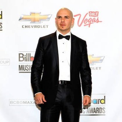 pitbull