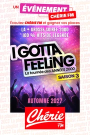 I Gotta Feeling: "La tournée des années 2000" - Saison 3