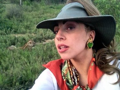 SAFARI PICTURES : le lion s'est même réveillé et nous a laissé nous approcher :)