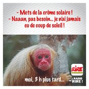 Eté 2021 - Attention aux coups de soleil....