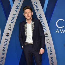 Niall Horan au summum de l'élégance