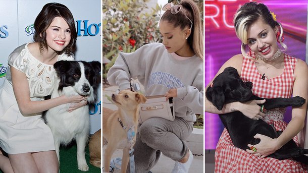 Selena Gomez, Ariana Grande, Miley Cyrus… ces stars qui adorent les chiens!