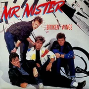 BROKEN WINGS