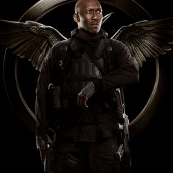 Hunger Games La Révolte - Partie 1: Boggs