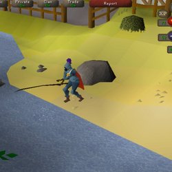 Capture de Runescape à l'ancienne sur mobile