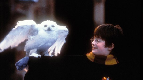 Les infos du Réveil Chérie : dans la future série Harry Potter, Voldemort devrait être une femme !