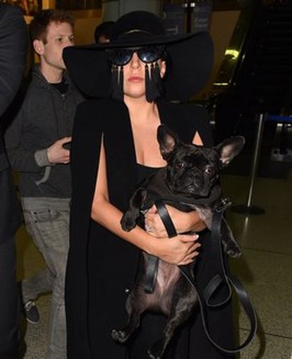 Lady Gaga et ses lunettes