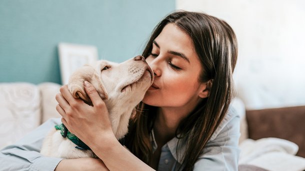 Les infos du Réveil Chérie: La race de chien préférée des français est...