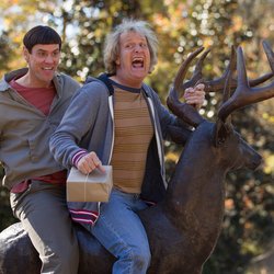 Dumb & Dumber De