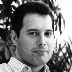 freddie-mercury