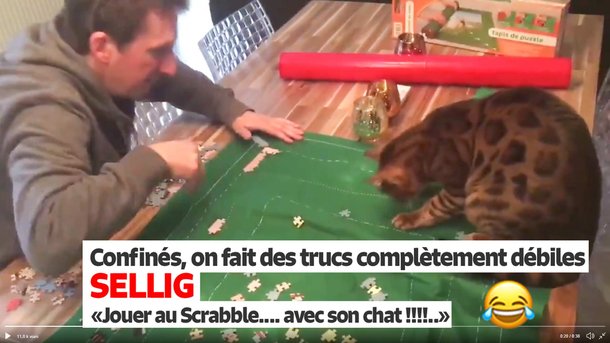 Confiné, Sellig, confiné, joue au Scrabble avec .... son chat !!!!