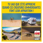 Enfin l'été ...