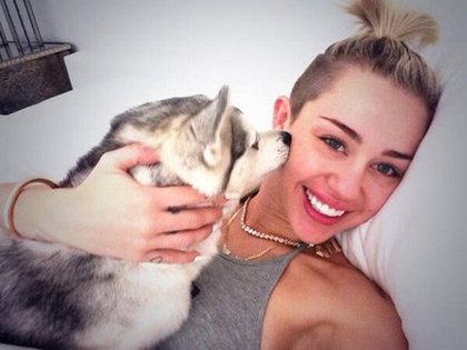 Miley Cyrus: Grace à Floyd c’est pas si mal d’être malade mon jour préféré de la semaine. J’aime quand il me lèche ça me fait rire