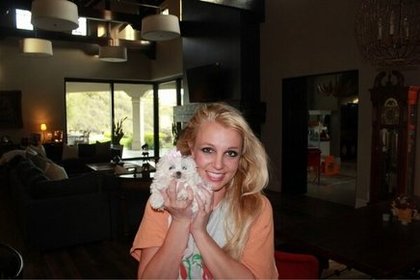 Britney Spears : dites bonjour à mon nouveau bébé