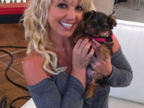 britney-spears