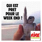 Le top 100 des Blagues de Rire & Chansons : le week-end