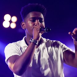 NRJ IN THE PARK Trélazé - 7 juillet 2017