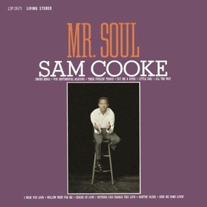 Mr. Soul