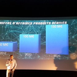 Projection du chiffre d'affaires sur la partie produits dérivés