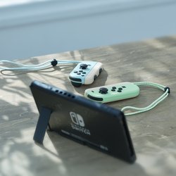 La Nintendo Switch édition Animal Crossing: New Horizons en images