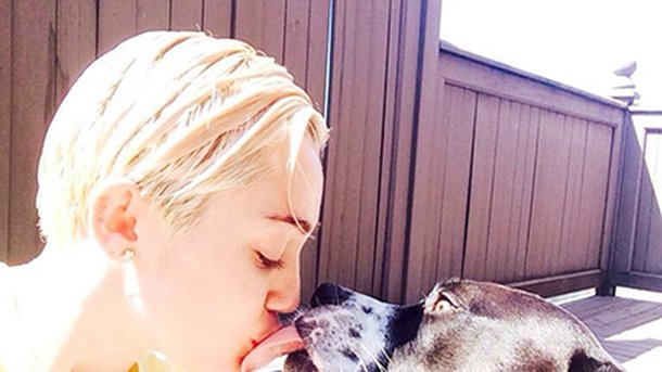 Miley Cyrus retrouve le sourire après la disparition de son compagnon !