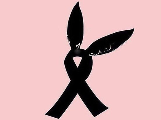 Ariana Grande Manchester 2
