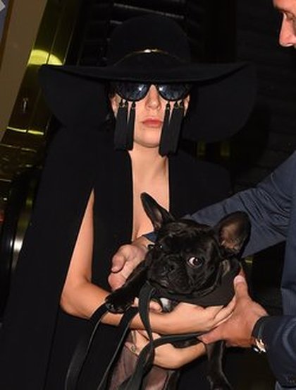 Lady Gaga et ses lunettes