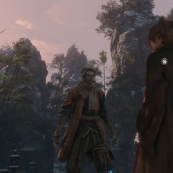 Sekiro : Shadows Die Twice