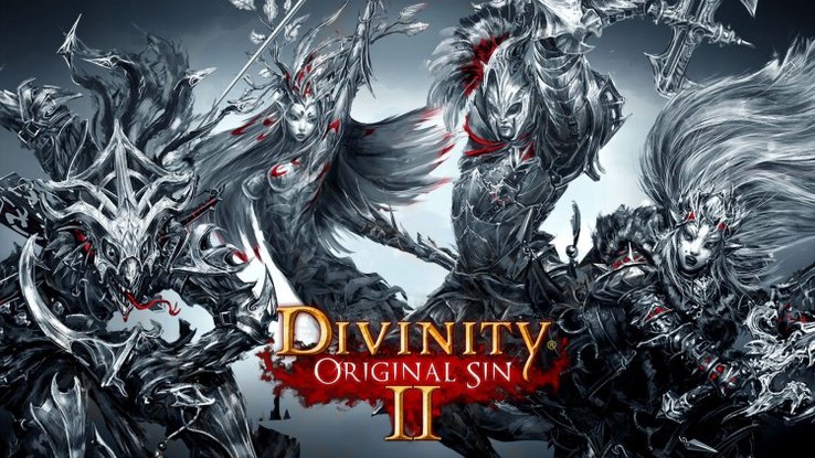 Divinity Original Sin 2 - jeu vidéo