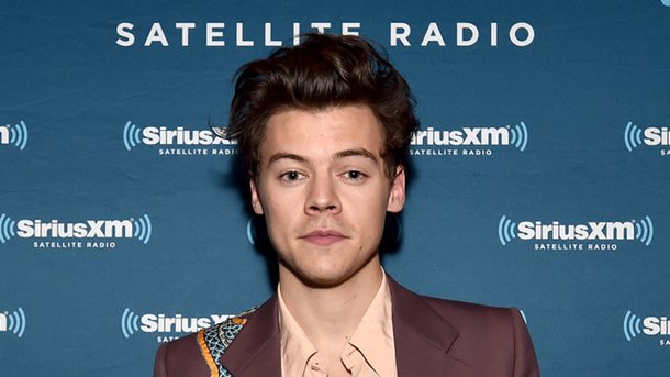 Harry Styles: bientôt une série inspirée de sa vie!