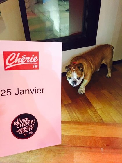 25 mars 2016 - Le Réveil Chérie de Vincent Cerutti