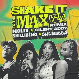 Shake It To The Max