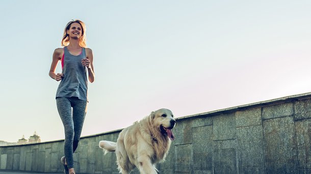 Les infos du Réveil Chérie: Avoir un chien augmente l’espérance de vie de 36%