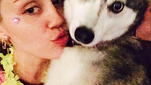 Miley Cyrus : une fête à la mémoire de son chien!