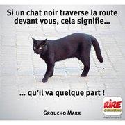 Bon vendredi 13 - humour, blague ; Groucho Marx  "Si un chat noir traverse la route devant vous, cela signifie ..... qu'il va quelque part " - Les images drôles de Rire & Chansons