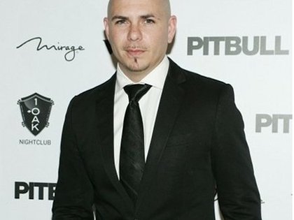 pitbull