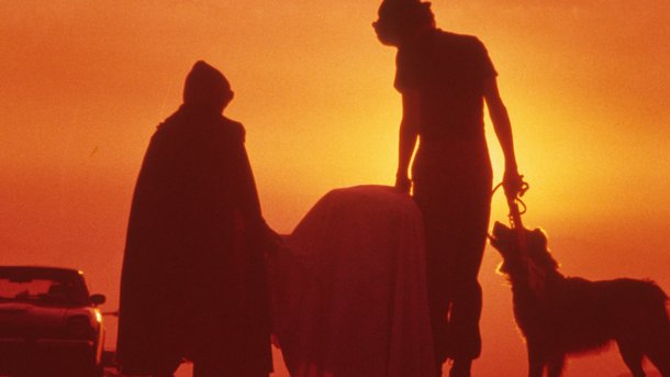 Quel film culte est sorti l’année de votre naissance ?